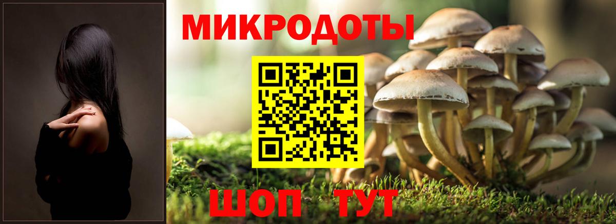 Псилоцибиновые грибы Cubensis  Вход с VPN  Протвино 